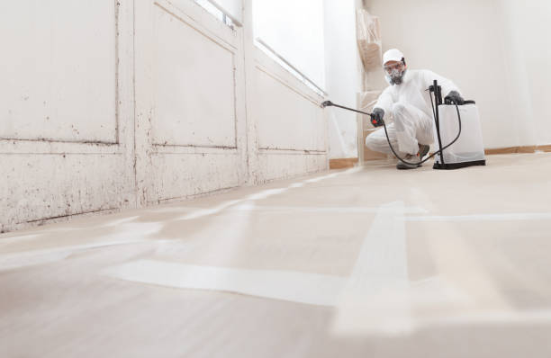 24/7 Emergency Mold Remediation experts in Williamston, NC